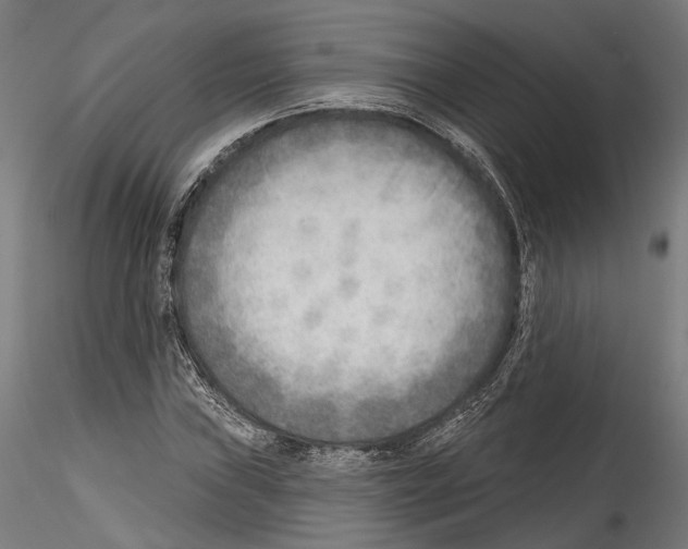 X0000114571019200911301306