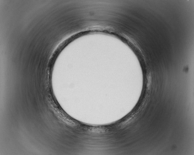 X0000114571021200911301306