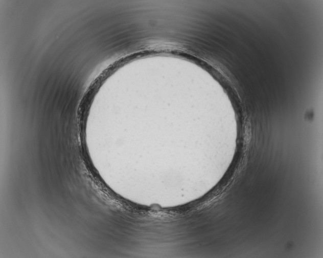 X0000114571022200911301306