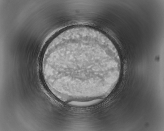 X0000114571024200911301306