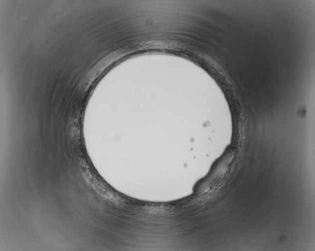 X0000114571025200911301306