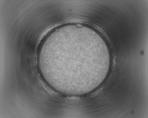 X0000114571027200911301307