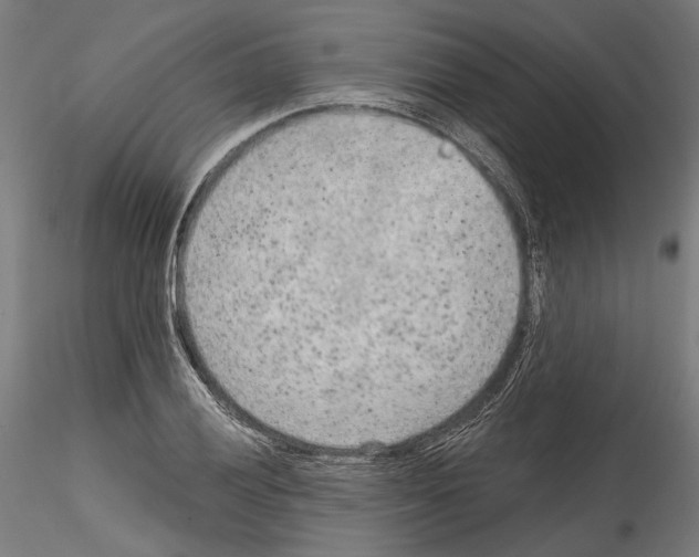 X0000114571028200911301307