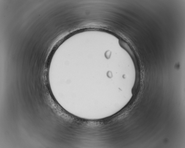 X0000114571029200911301307