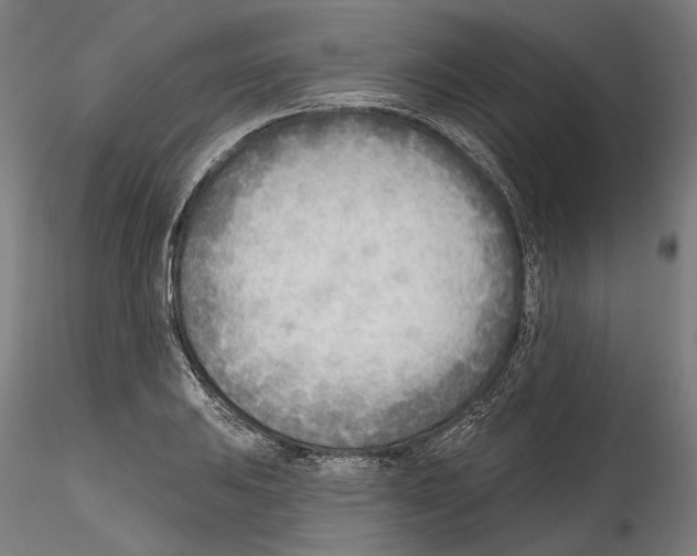 X0000114571031200911301307