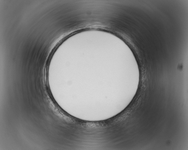 X0000114571032200911301307