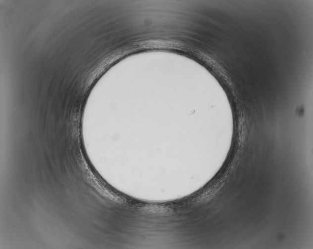 X0000114571033200911301307