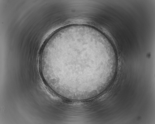 X0000114571035200911301307