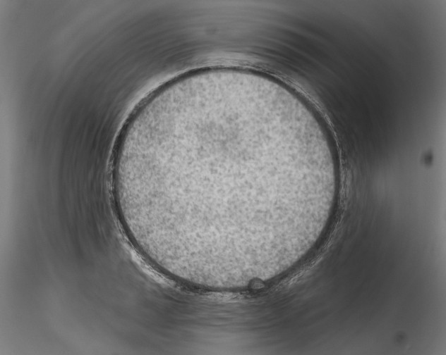 X0000114571037200911301307