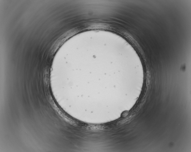 X0000114571041200911301307