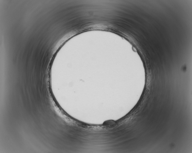 X0000114571042200911301307