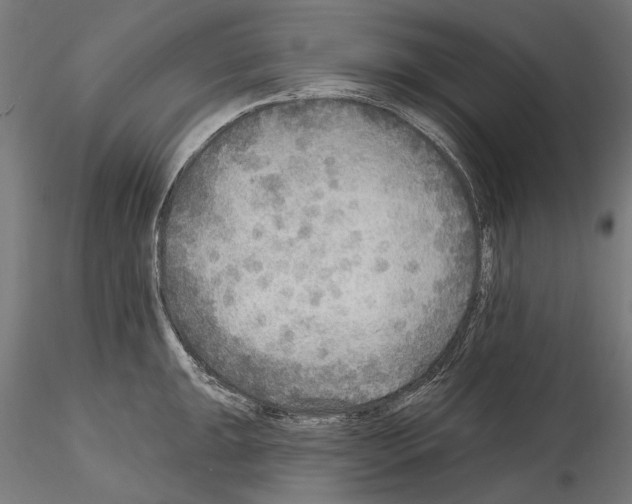 X0000114571047200911301307