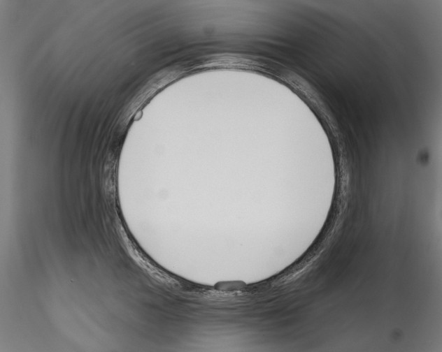 X0000114571049200911301307