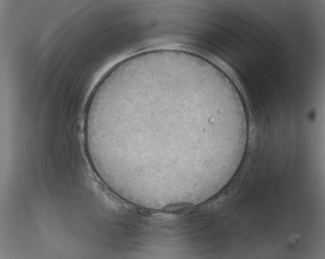 X0000114571051200911301307