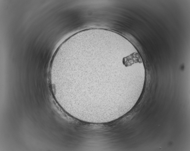 X0000114571052200911301307