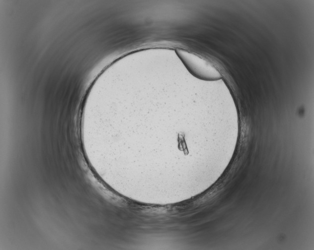 X0000114571054200911301307