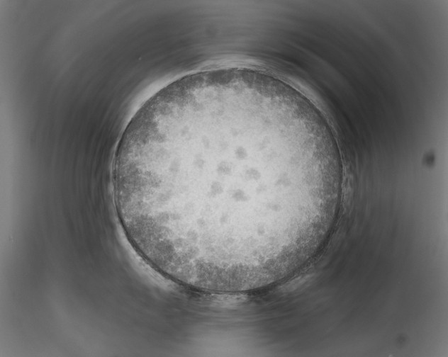 X0000114571055200911301307