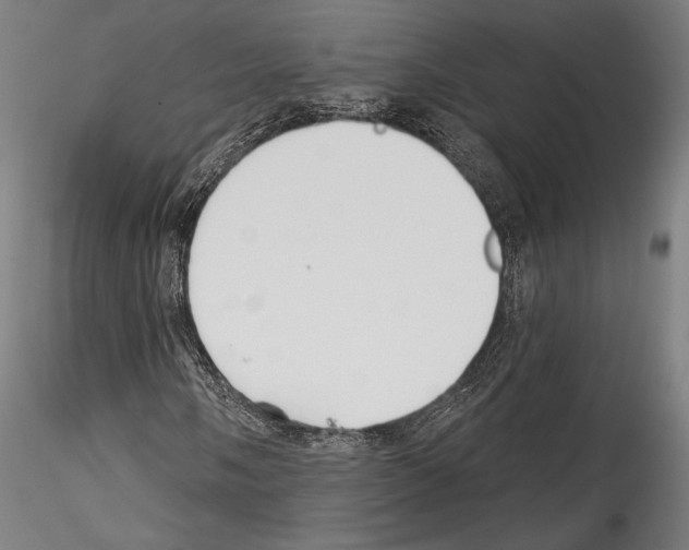 X0000114571058200911301306