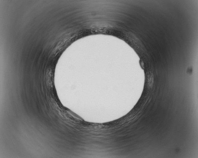 X0000114571060200911301306