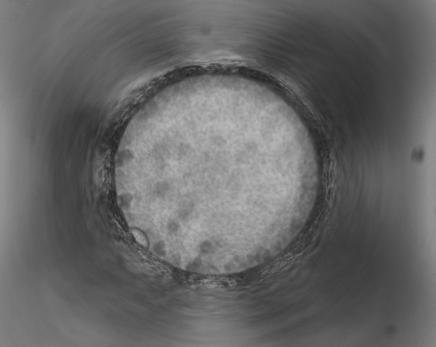 X0000114571063200911301306