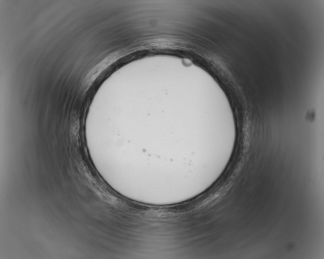 X0000114571065200911301306