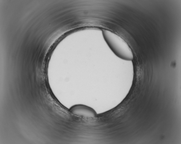 X0000114571068200911301306