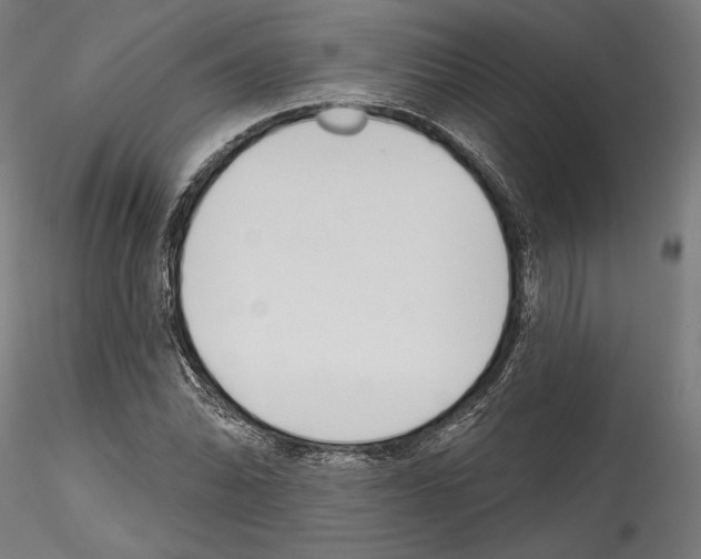 X0000114571070200911301306