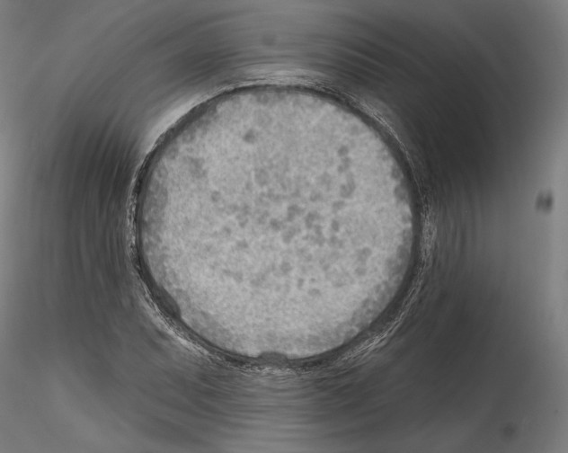 X0000114571071200911301306