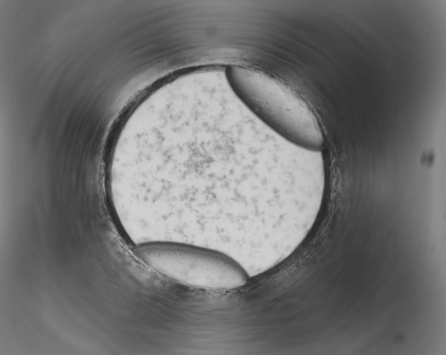 X0000114571072200911301306