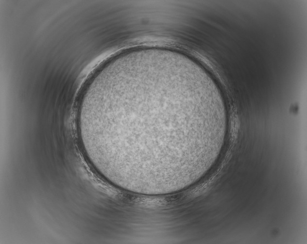 X0000114571074200911301306