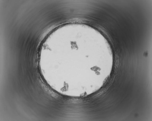 X0000114571075200911301306