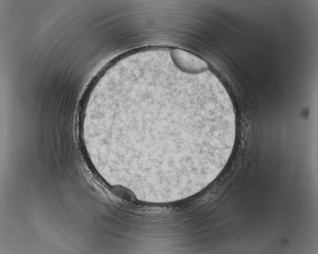 X0000114571076200911301306