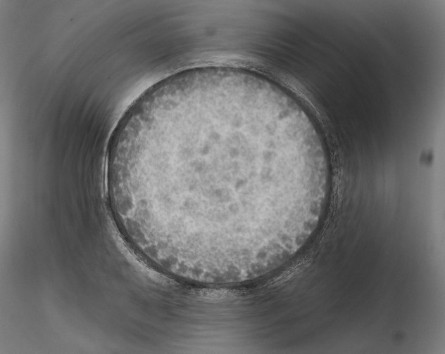 X0000114571079200911301306