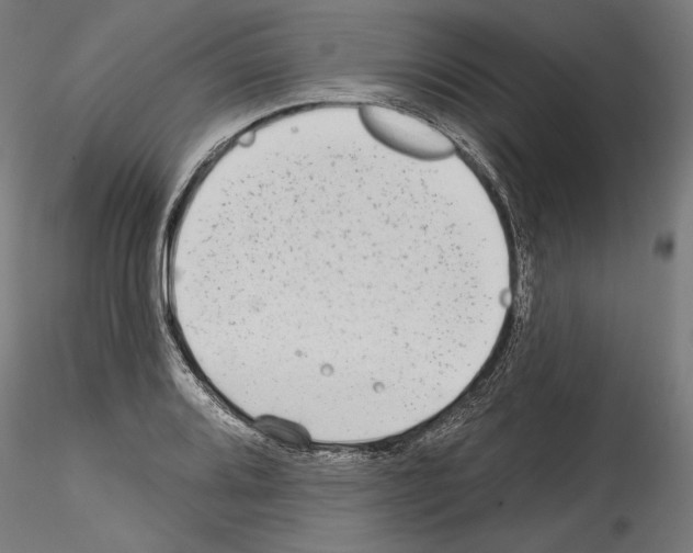 X0000114571080200911301306