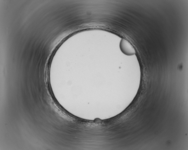 X0000114571082200911301306