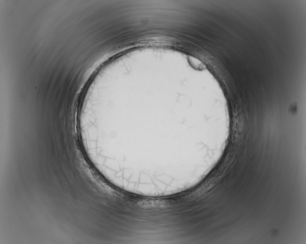 X0000114571083200911301306