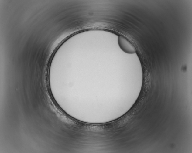 X0000114571086200911301306