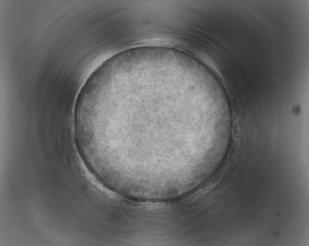 X0000114571087200911301306