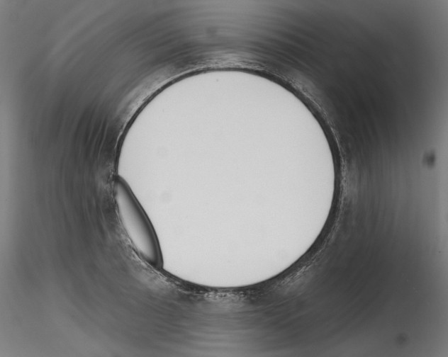 X0000114571089200911301306