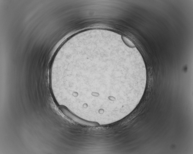 X0000114571092200911301306