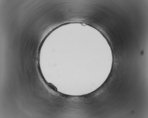 X0000114571093200911301306