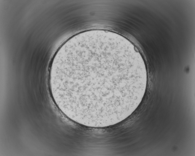 X0000114571096200911301306