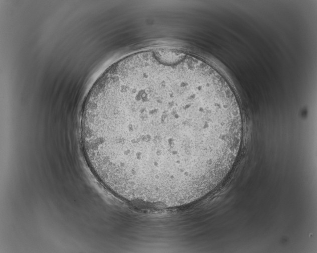 X0000114571099200911301306