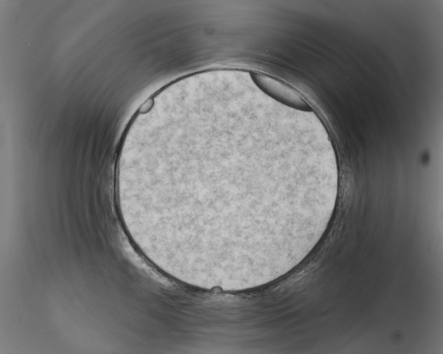 X0000114571100200911301306