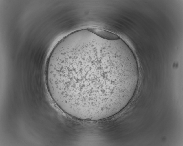 X0000114571104200911301306