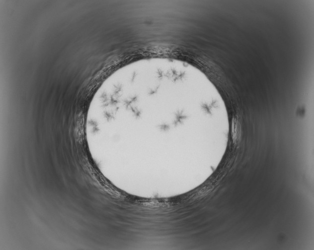 X0000114571107200911301305