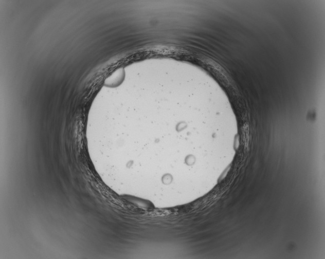 X0000114571111200911301305