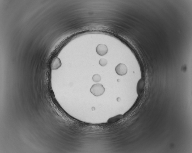 X0000114571115200911301305