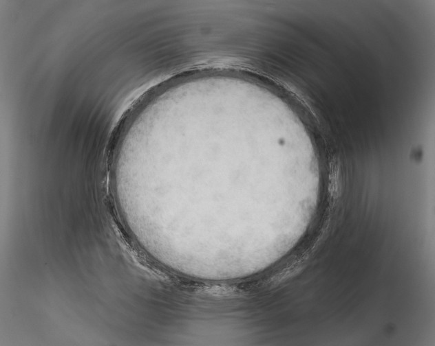 X0000114571117200911301305