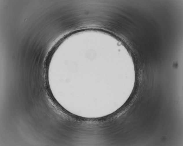 X0000114571118200911301305